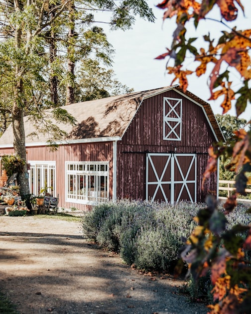 Creating a Sustainable Farm Life